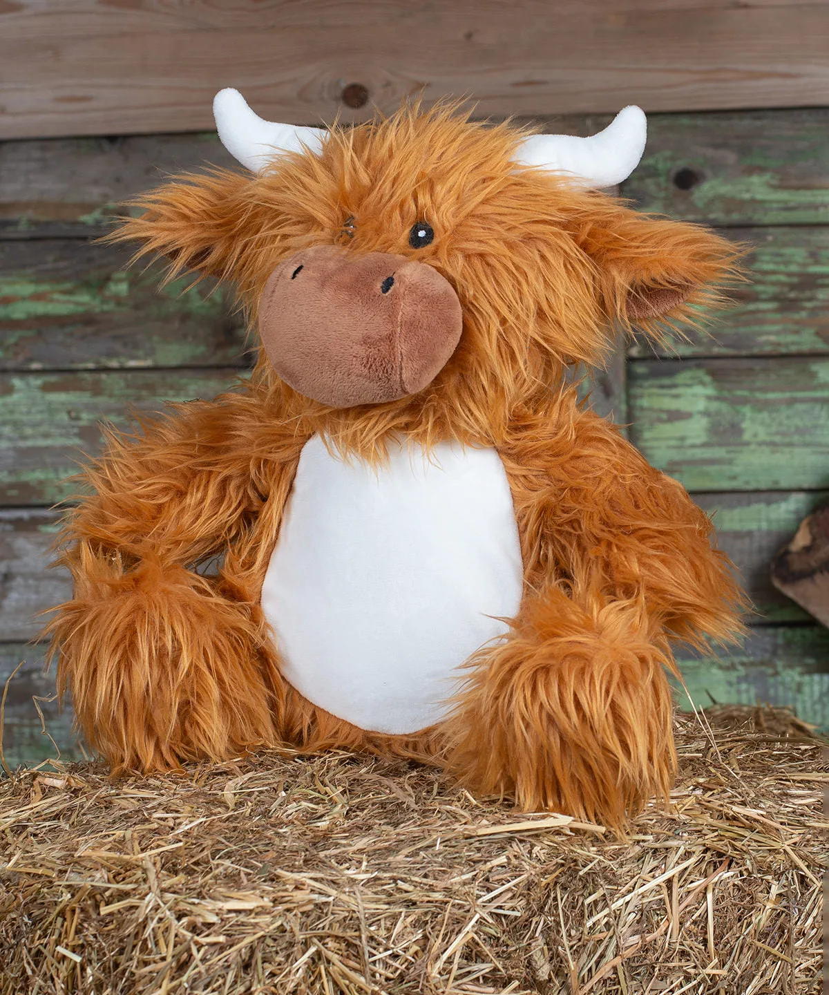 Printme mini teddy | Lion Brown